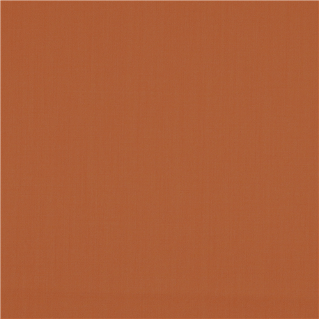 [610061] ORANGE,PLAIN (101/61)