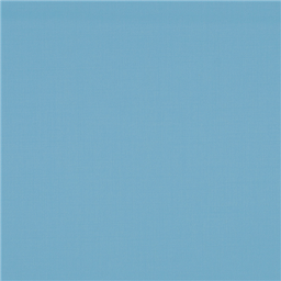 [610069] BLUE,PLAIN (101/69)