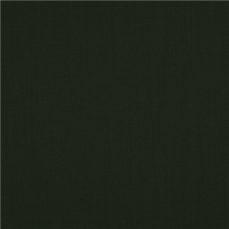 [610081] GREEN,PLAIN (101/81)