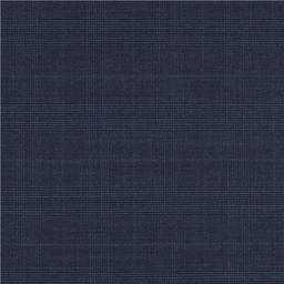 [610101] BLUE,CHECKS (102/01)