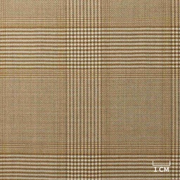 [610112] BROWN,CHECKS (102/12)