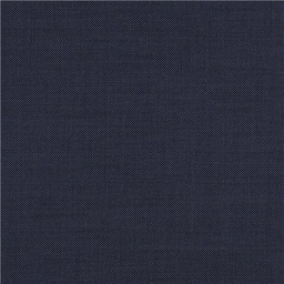 [610141] BLUE,BIRDEYE (102/41)