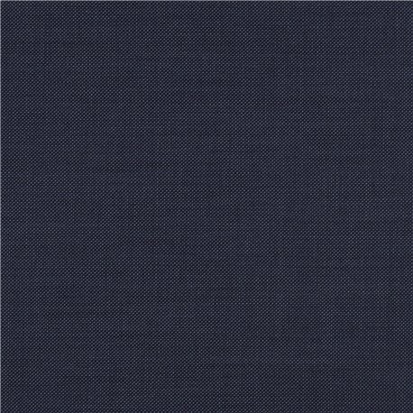 [610141] BLUE,BIRDEYE (102/41)