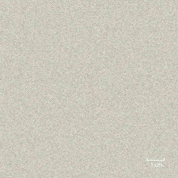[451604] LIGHT GREY BROWN,PLAIN