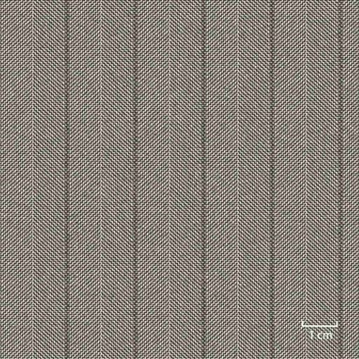 [451641] BROWN,STRIPES