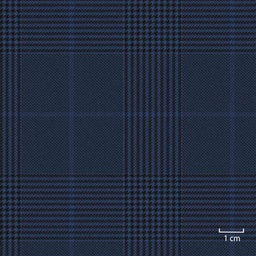 [451645] BLUE,CHECKS