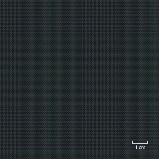 [451646] GREEN,CHECKS