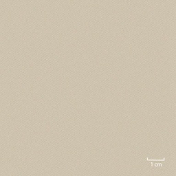 [451702] BEIGE,PLAIN
