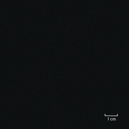 [451719] BLACK,PLAIN