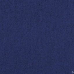 [405750] BLUE,PLAIN (16/94)