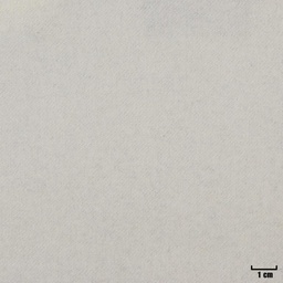 [405762] OFF_WHITE,PLAIN (16/42)