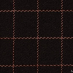 [405903] DARK BROWN,CHECKS (4/79)