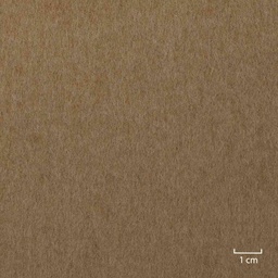 [405929] CAMEL,PLAIN (4/01)