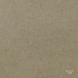 [406001] BEIGE,PLAIN (4/33)