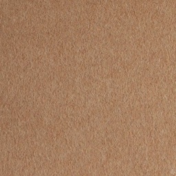 [406002] CAMEL,PLAIN (4/04)