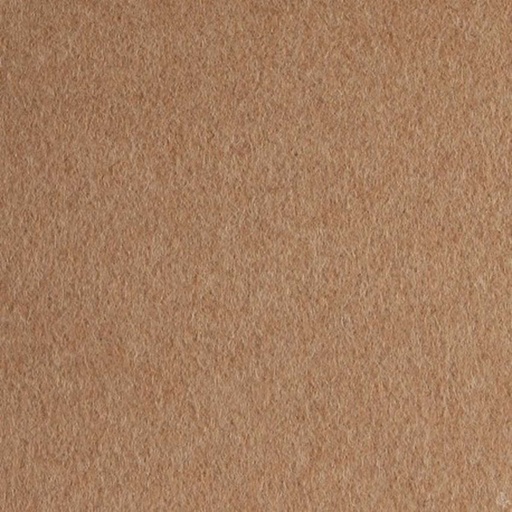 [406002] CAMEL,PLAIN (4/04)