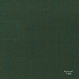 [353618] GREEN,PLAIN