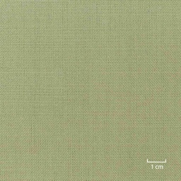 [353621] YELLOW,PLAIN