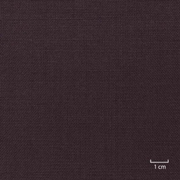 [353632] PURPLE,PLAIN