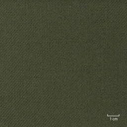 [353649] OLIVE,TWILL