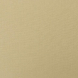 [823957] CHAMPAGNE GOLD, LINING