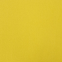 [823960] YELLOW, LINING