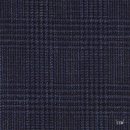 [610201] BLUE, BLACK CHECKS (100/01)