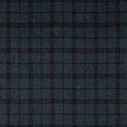 [353701] BLUE, BROWN CHECKS