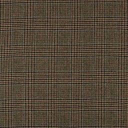 [353704] BROWN, BLUE CHECKS