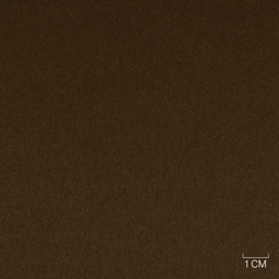 [353819] BROWN, PLAIN