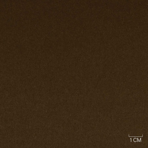 [353819] BROWN, PLAIN