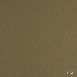 [353830] BROWN, PLAIN