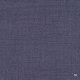 [610304] BLUE, CHECKS (103/04)
