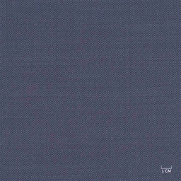 [610320] BLUE, BIRDEYE (103/20)