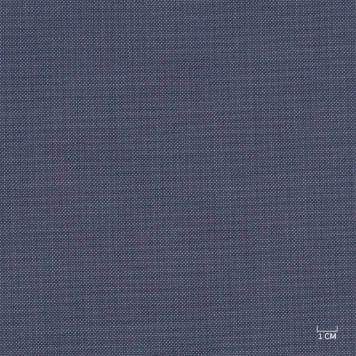 [610320] BLUE, BIRDEYE (103/20)