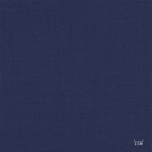 [610321] BLUE, BIRDEYE (103/21)