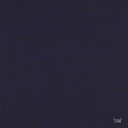 [610322] DARK BLUE, BIRDEYE (103/22)