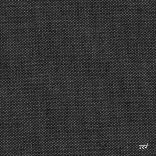 [610323] GREY, BIRDEYE (103/23)