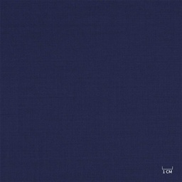[610342] BLUE, PLAIN (103/42)