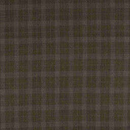 [353903] BROWN, CHECKS