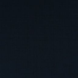 [353926] BLUE, CHECKS