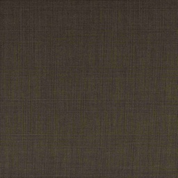 [353930] BROWN, CHECKS
