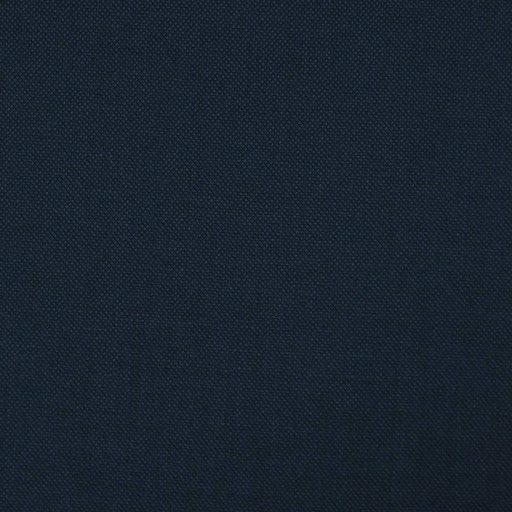 [353947] BLUE, BIRDEYE