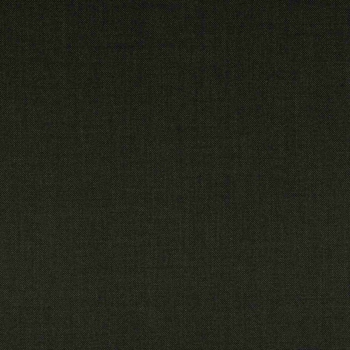 [353950] BROWN, BIRDEYE