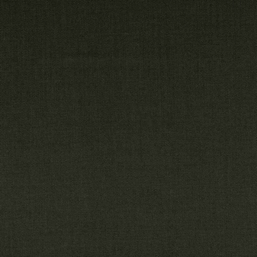 [353951] GREEN, BIRDEYE