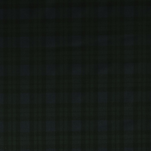 [353953] BLUE, GREEN CHECKS