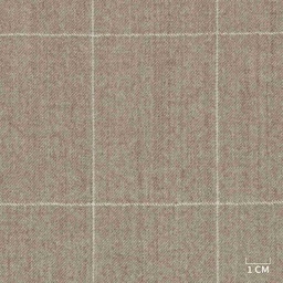 [320128] BROWN,CHECKS (DR# 71028)