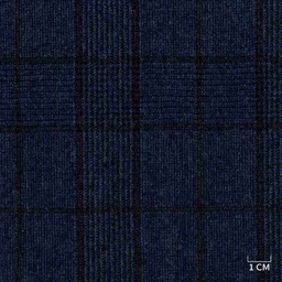 [320137] BLUE,CHECKS (DR# 71037)