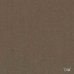 [320164] BROWN,PLAIN (DR# 71064)