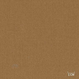 [320167] BROWN,PLAIN (DR# 71067)
